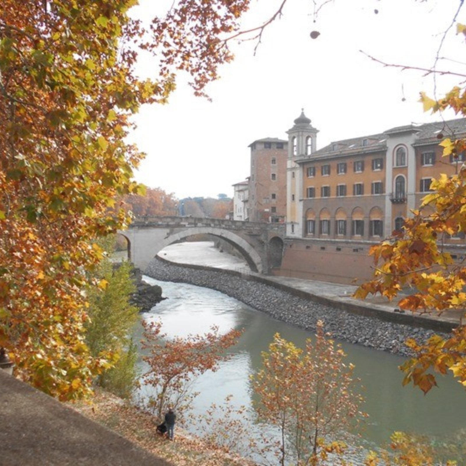 Isola Tiberina