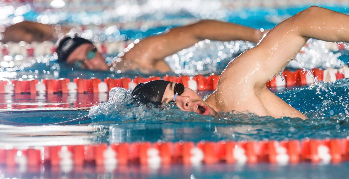 Nuotatori in piscina gareggiano a stile libero - Foto di Drobot Dean da Adobe Stock