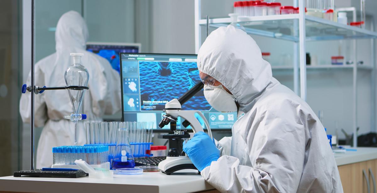 Ricercatori lavorano in laboratorio - Foto di DC Studio da Adobe Stock