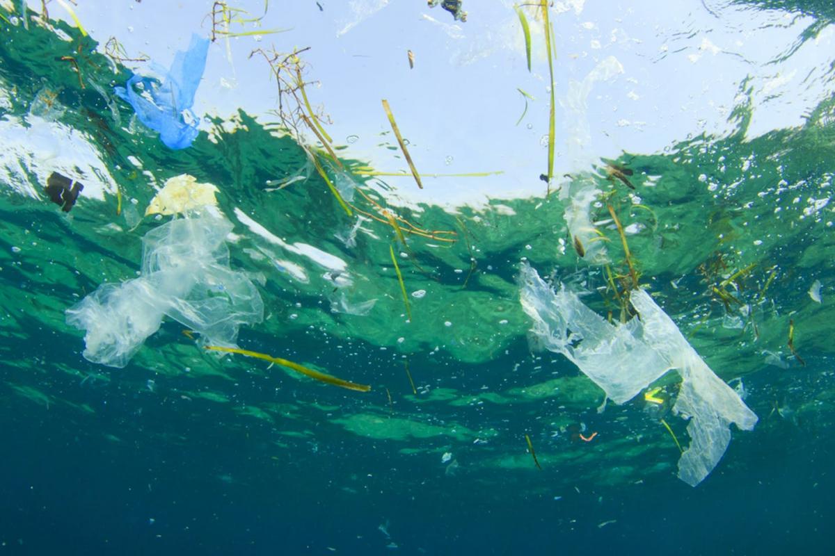Fishing for litter, raccolti 25.000 kg di rifiuti in mare