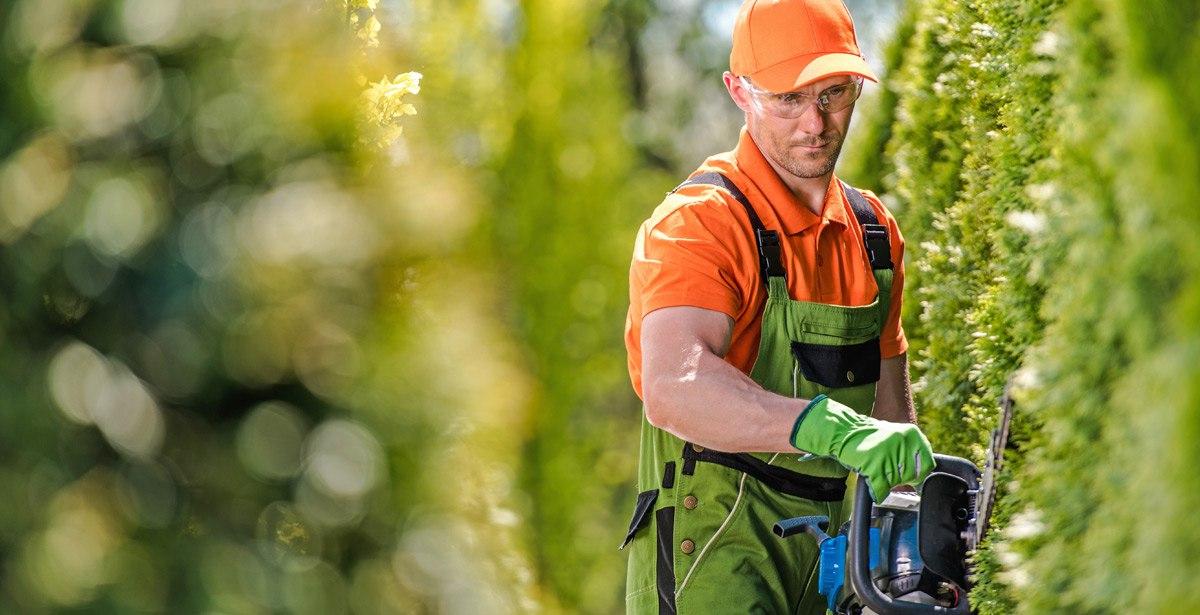 Giardiniere al lavoro su una siepe - Foto di Tomasz Zajda da Adobe Stock