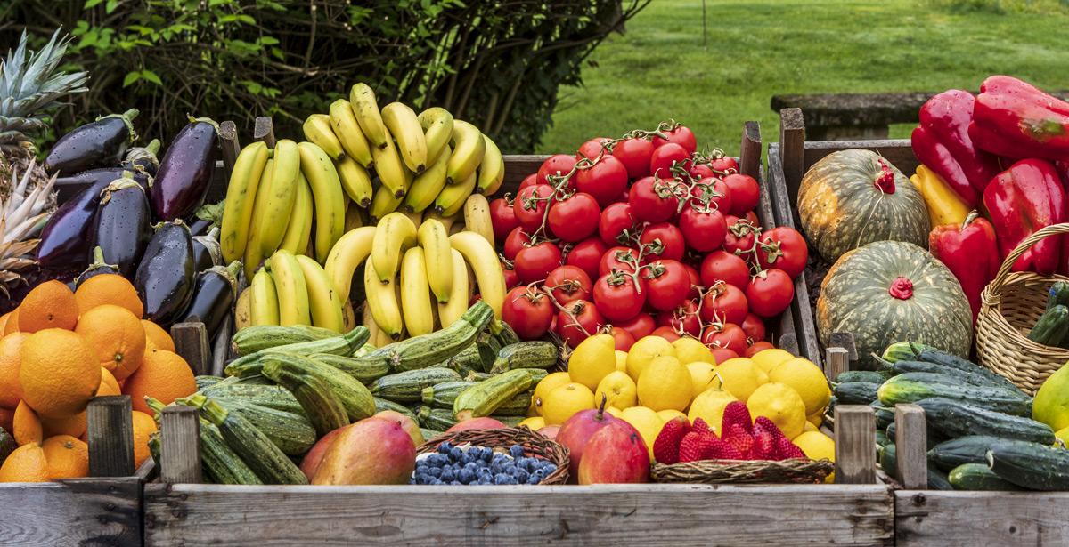 Esposizione di frutta e verdura