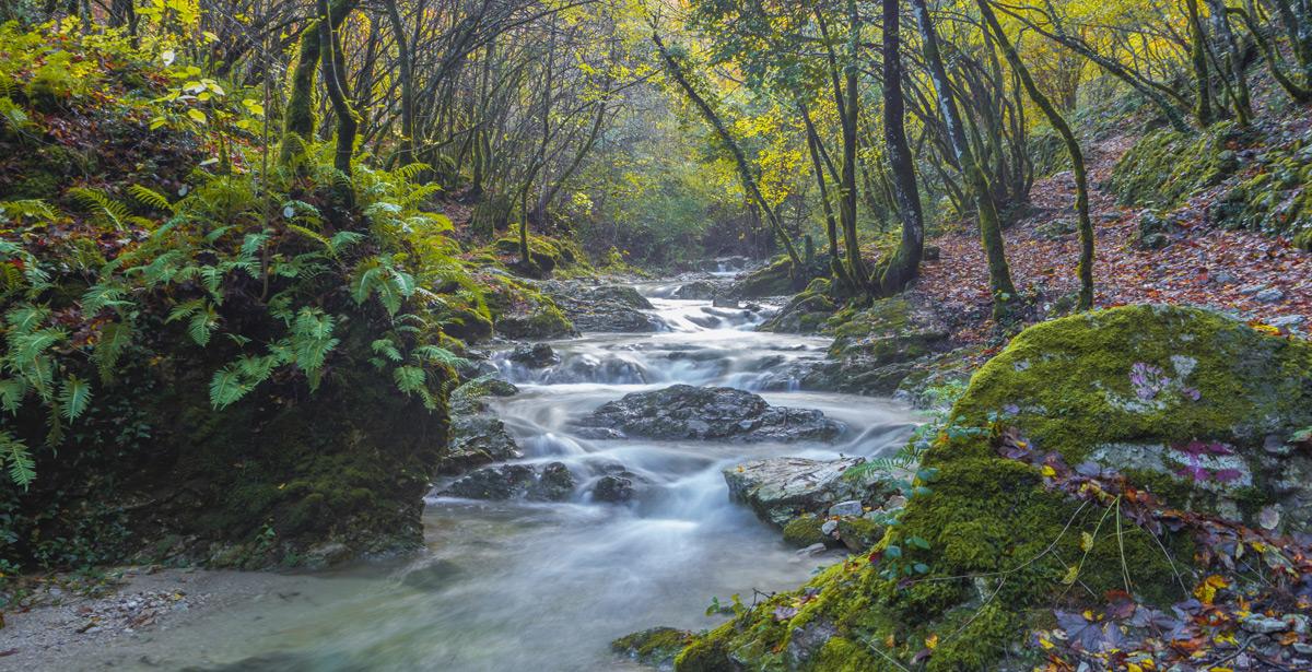 Torrente sul Monte Tancia Rieti - Foto di ValerioMei da Adobe Stock