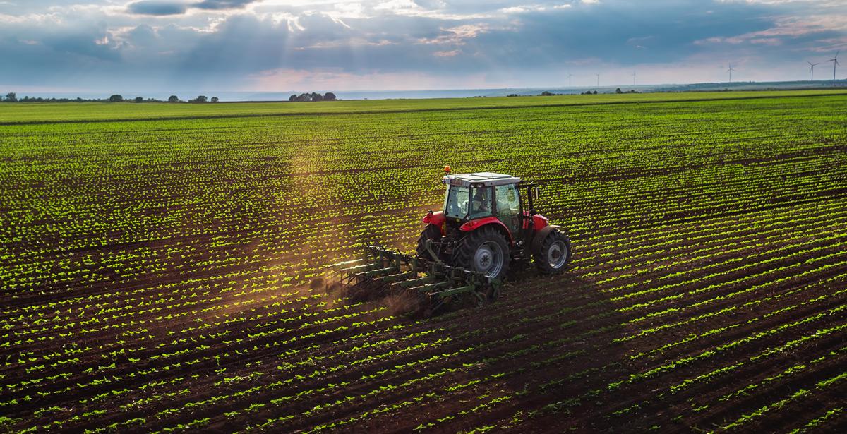 Trattore al lavoro su un campo coltivato - Foto di ValentinValkov da Adobe Stock