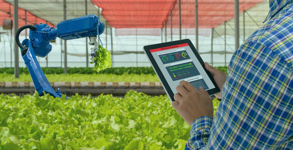 Agricoltore guida robot da app su tablet - Foto di Monopoly919 da Adobe Stock