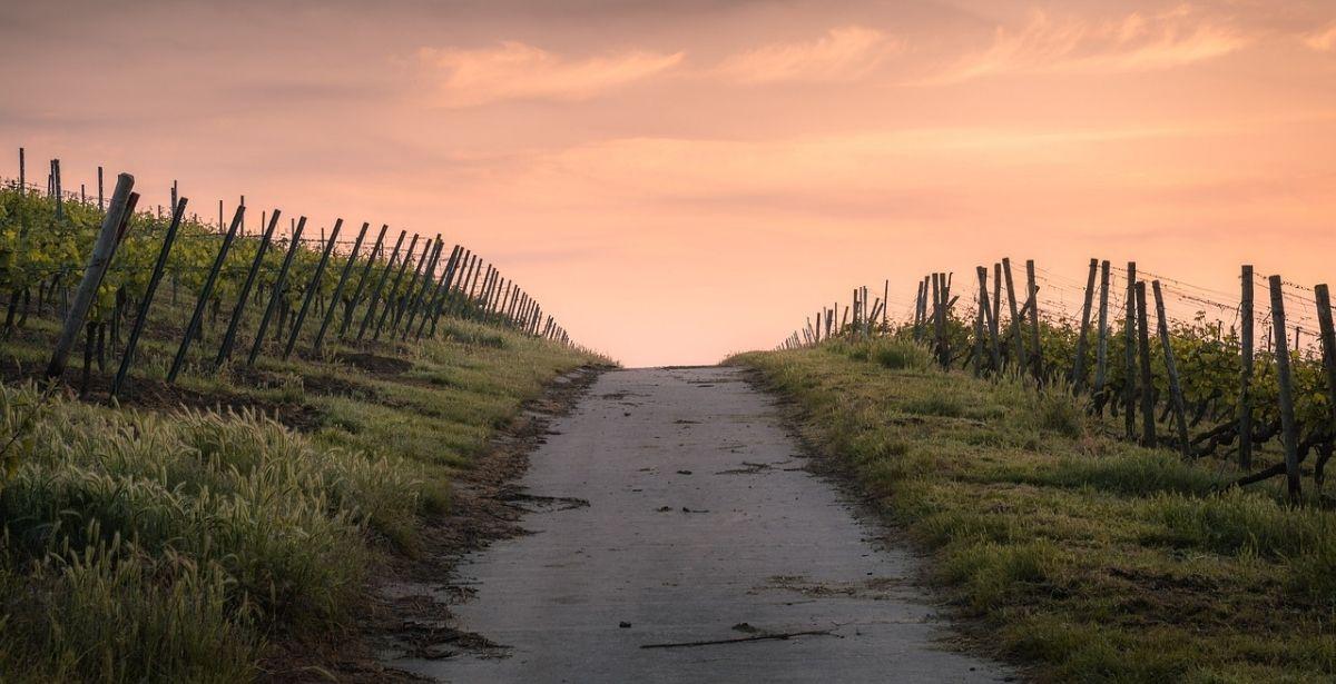 Strada campagna