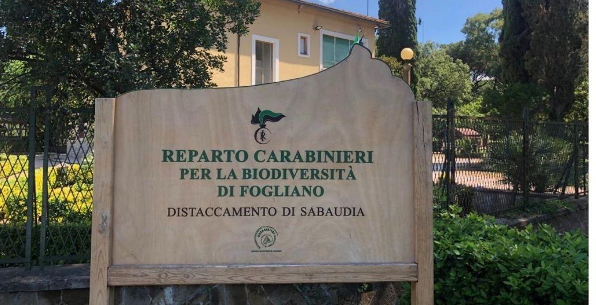 Reparto Carabinieri Biodiversità Fogliano