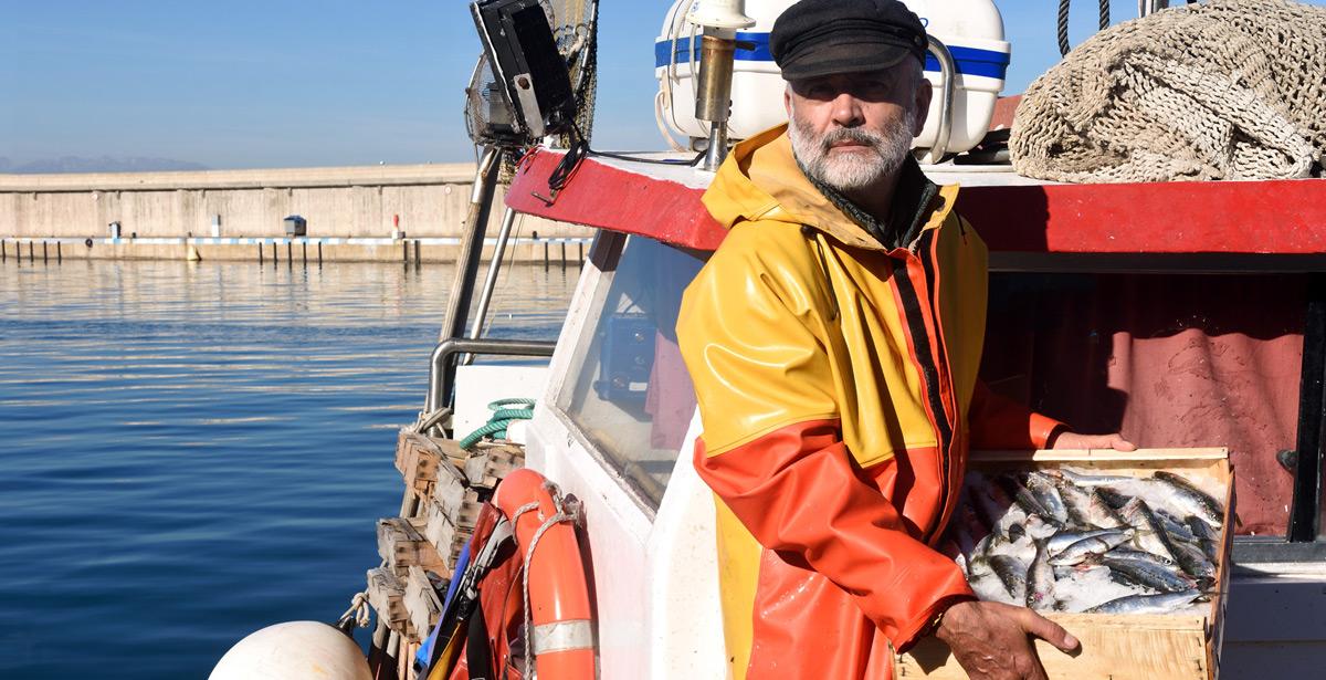 Pescatore mostra la cassetta con il pescato a bordo - Foto di curto da Adobe Stock