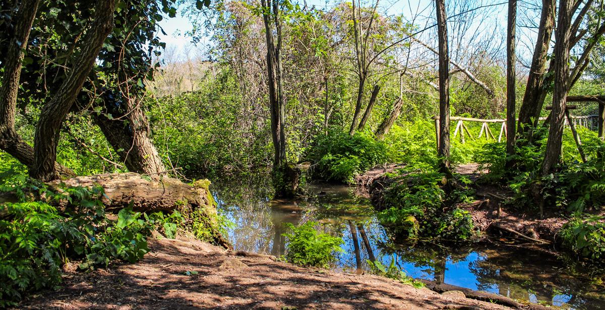 Fiume Almone Parco della Caffarella Roma - Foto di Ragemax da Adobe Stock