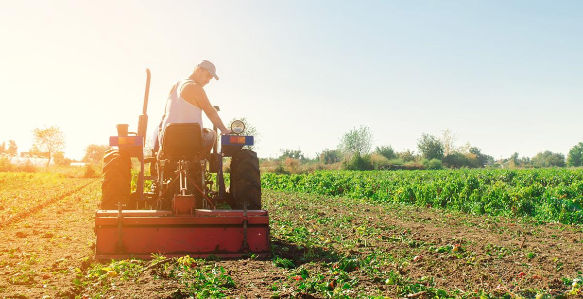 Agricoltore al lavoro in un campo col trattore - Foto di Andrii Yalanskyi da Adobe Stock