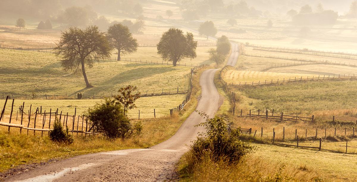 Paesaggio rurale al mattino - Foto di Novak da Adobe Stock