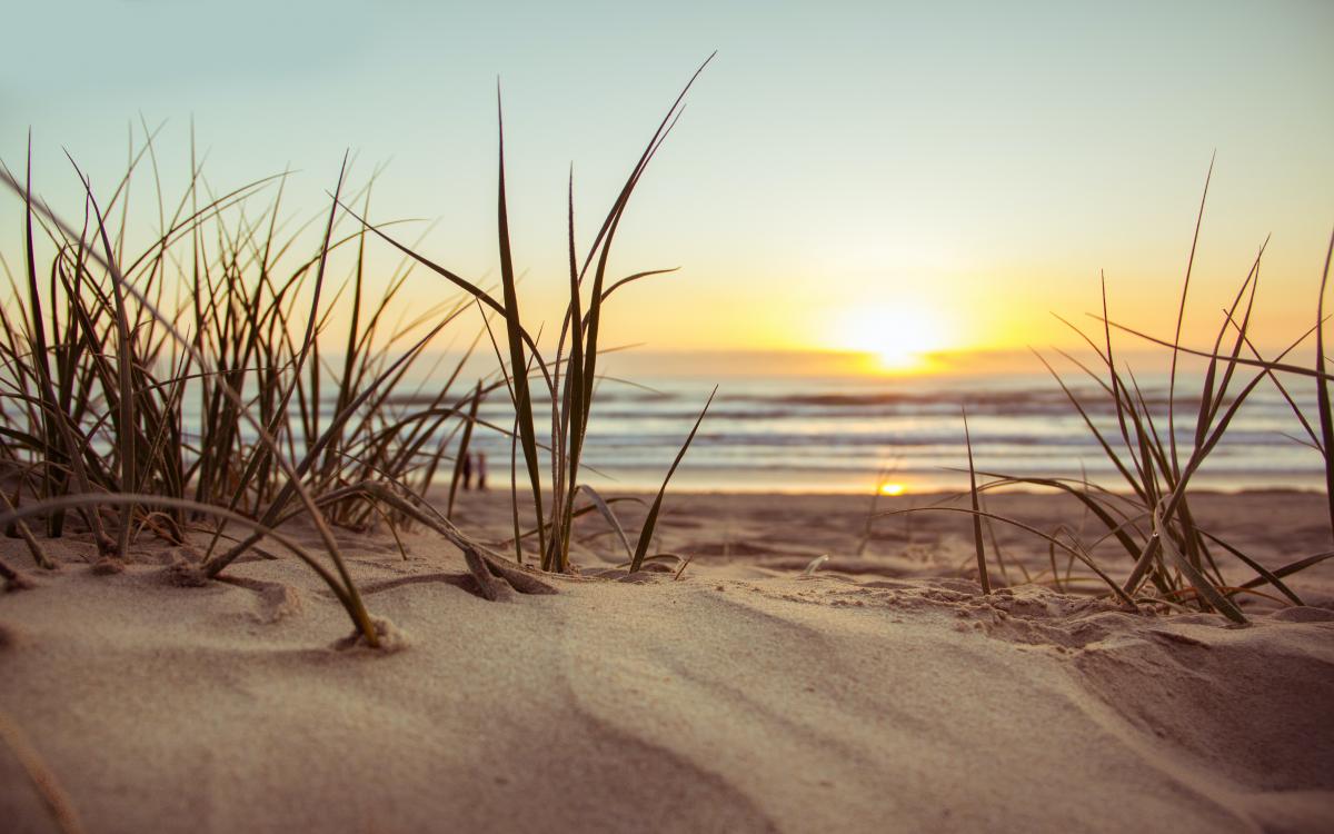 Spiaggia - Foto di Nathan Cowley: https://www.pexels.com/it-it/foto/erba-verde-durante-il-tramonto-1192671/