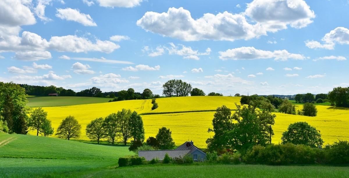 paesaggio-agricolo