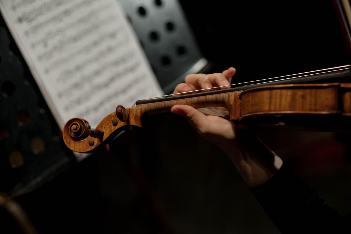 Violinista - Foto di cottonbro studio: https://www.pexels.com/it-it/foto/persona-mano-giocando-tenendo-7095505/