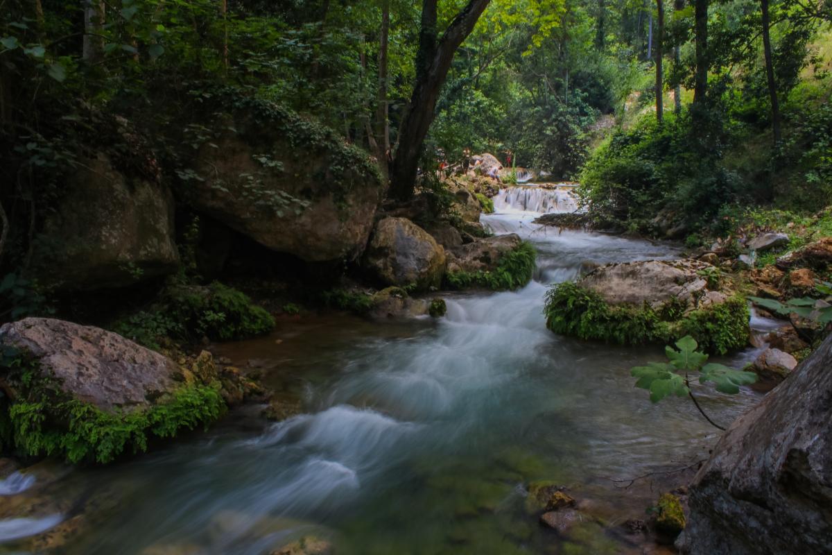 Torrente - Foto di Hasan Albari: https://www.pexels.com/it-it/foto/fiume-tra-la-foresta-1172618/