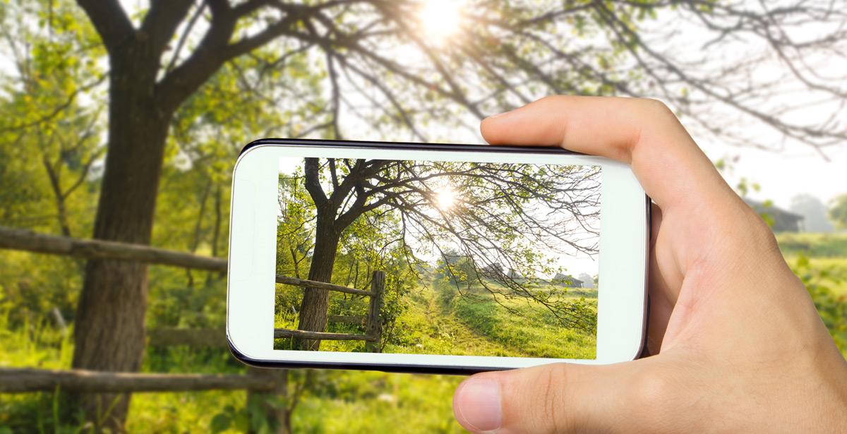 Mano scatta una foto con telefono di un paesaggio rurale - Foto di Rasulov da Adobe Stock