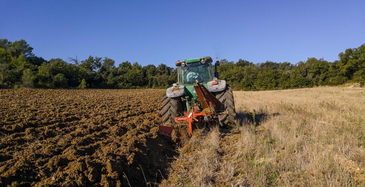 aziende agricole-investimenti