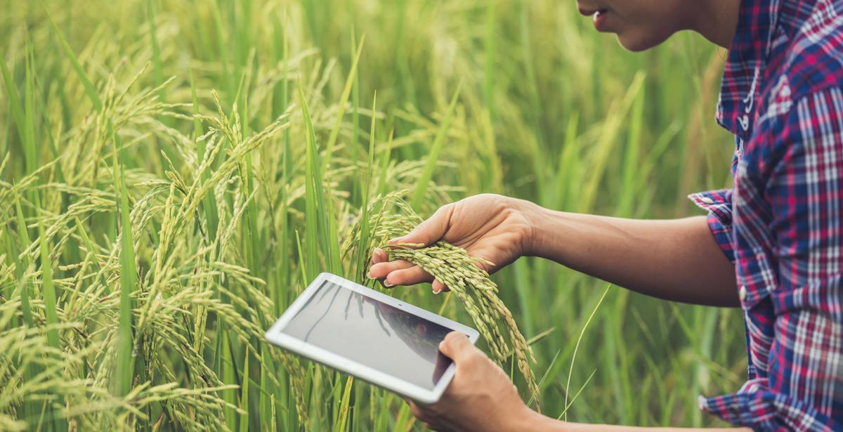 agricoltore con tablet