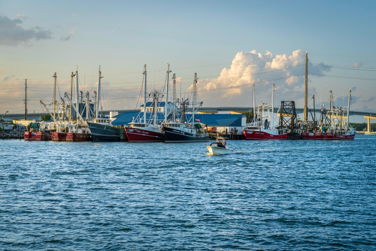 Pesca - Foto di Mark Stebnicki: https://www.pexels.com/it-it/foto/mare-porto-barche-da-pesca-ormeggiato-16678067/