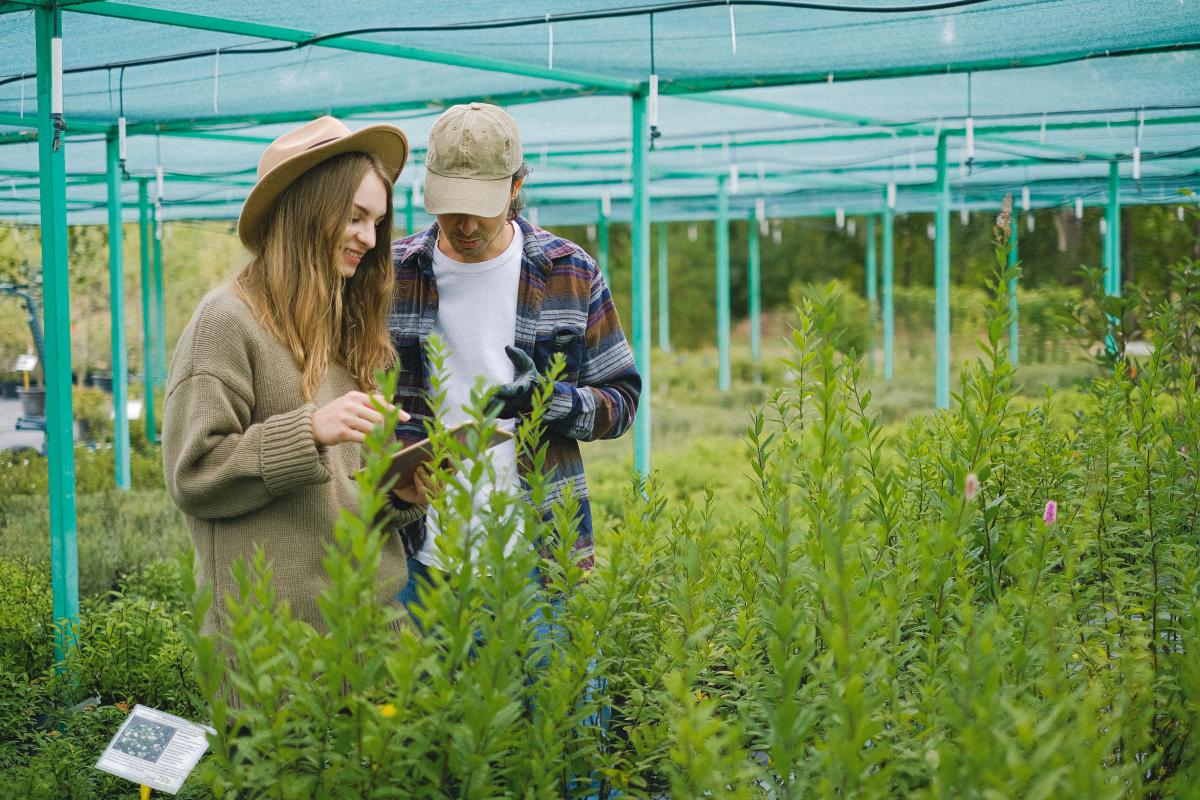 Agricoltura consulenza - Foto di Anna Shvets: https://www.pexels.com/it-it/foto/uomo-coppia-donna-navigando-5230966/