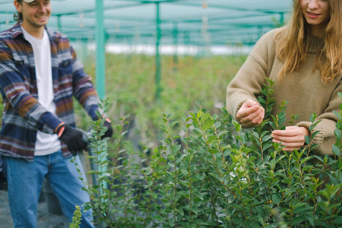 Florivivaista - Foto di Anna Shvets: https://www.pexels.com/it-it/foto/uomo-donna-giardino-agricoltura-5230948/