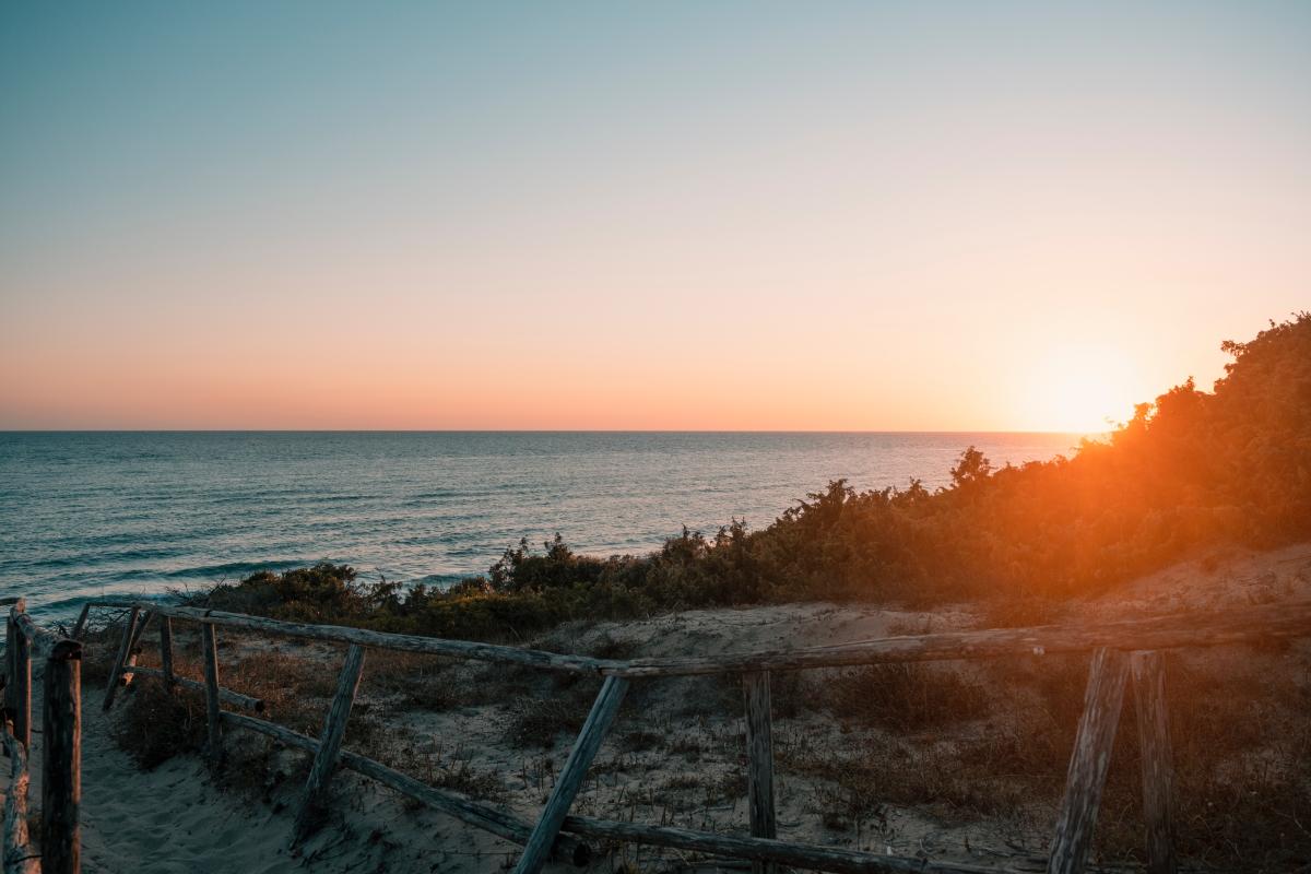 Sabaudia - Foto di Fabrizio Am: https://www.pexels.com/it-it/foto/legno-luce-mare-alba-15805719/