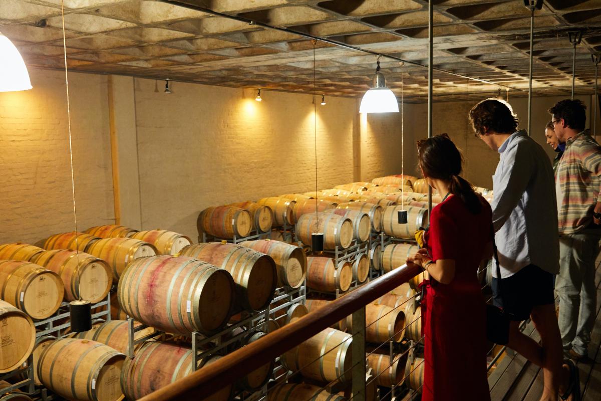 Botti vino - Foto di Laker : https://www.pexels.com/it-it/foto/donna-in-camicia-rossa-in-piedi-davanti-a-bottiglie-di-vino-5732734/