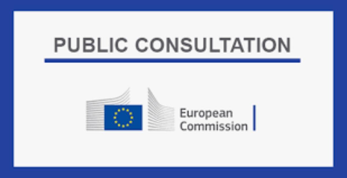 Consultazione Ue