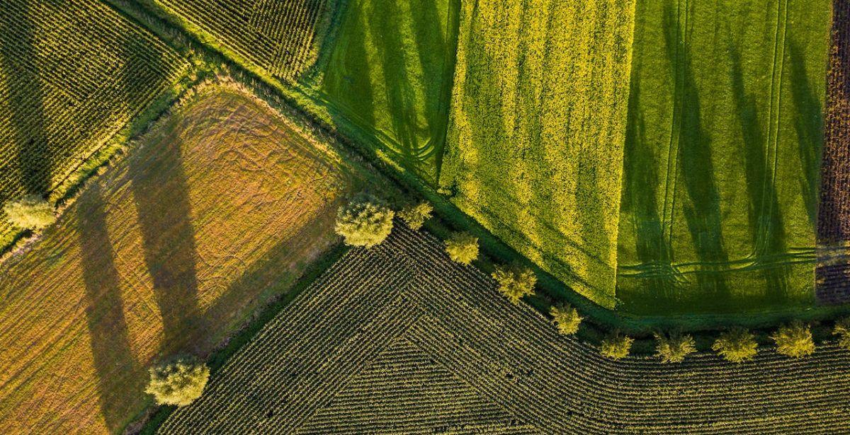 Campi coltivati - Foto di Yulian Alexeyev: https://www.pexels.com/it-it/foto/paesaggio-agricoltura-campi-rurale-618277/
