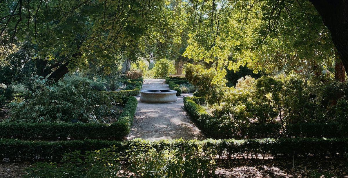 Giardino pubblico - Foto di Anastasia: https://www.pexels.com/it-it/foto/estate-giardino-alberi-parco-13182512/