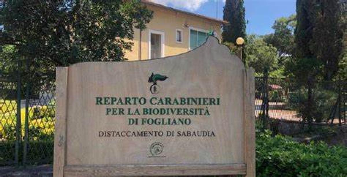 reparto carabinieri per la biodiversità di Fogliano