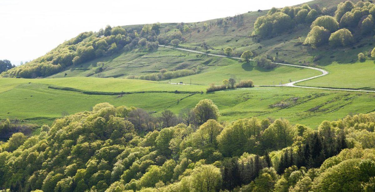 Paesaggio rurale - Foto di PHILIPPE SERRAND: https://www.pexels.com/it-it/foto/paesaggio-francia-campo-foresta-18978664/