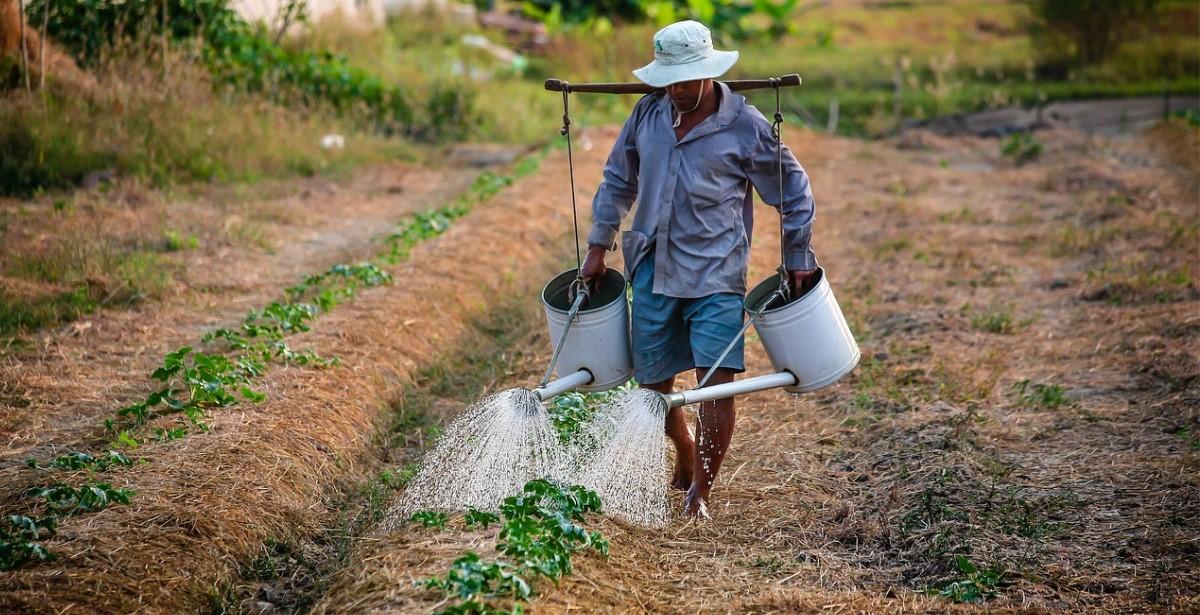 agricoltore