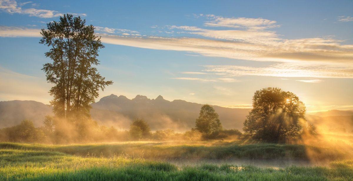 Paesaggio natura - Foto di <a href="https://pixabay.com/it/users/jameswheeler-5314099/?utm_source=link-attribution&utm_medium=referral&utm_campaign=image&utm_content=3787200">James Wheeler</a> da <a href="https://pixabay.com/it//?utm_source=link-attribution&utm_medium=referral&utm_campaign=image&utm_content=3787200">Pixabay</a>