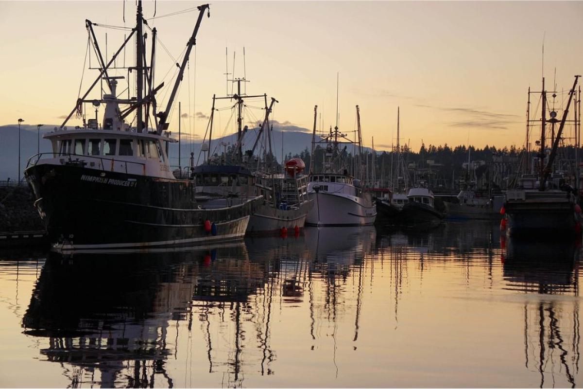 Porto pesca - Foto di <a href="https://pixabay.com/it/users/judam-1486966/?utm_source=link-attribution&utm_medium=referral&utm_campaign=image&utm_content=2801212">Juda</a> da <a href="https://pixabay.com/it//?utm_source=link-attribution&utm_medium=referral&utm_campaign=image&utm_content=2801212">Pixabay</a>