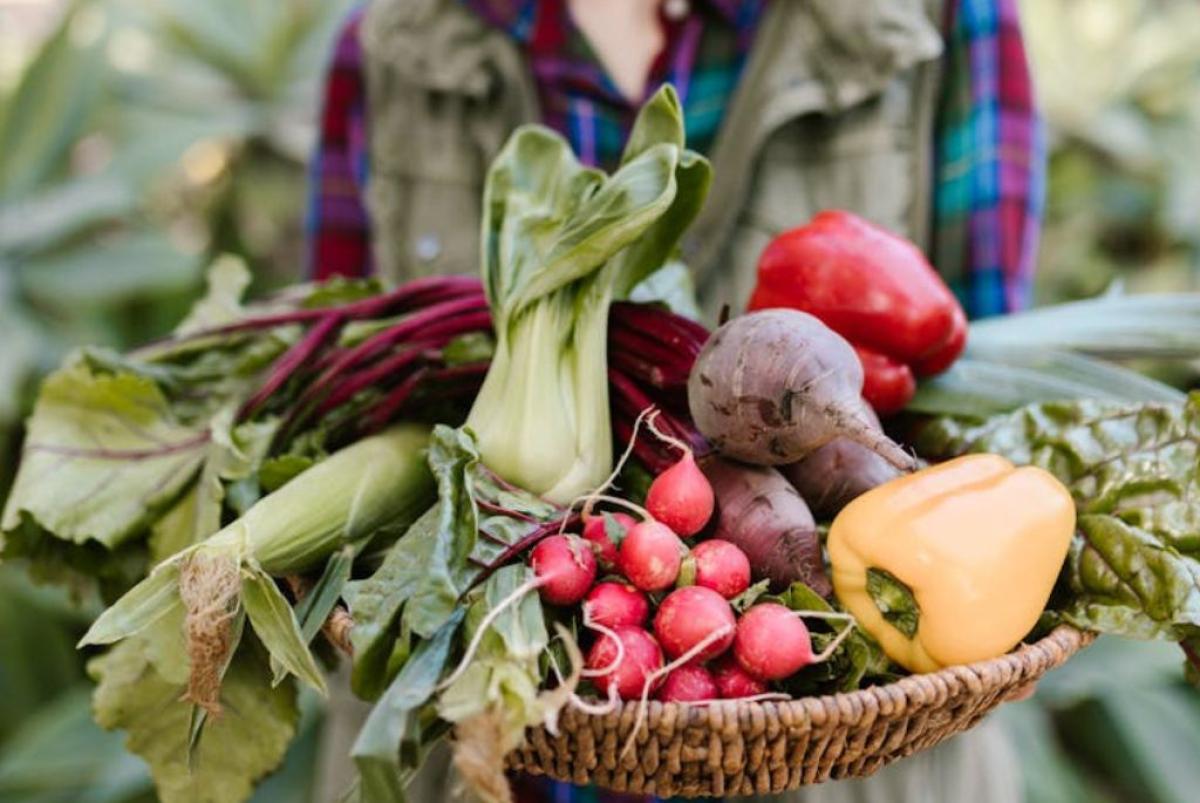 Prodotti agricoli - Foto di RDNE Stock project: https://www.pexels.com/it-it/foto/verdura-freschezza-prodotti-agricoli-prodotti-freschi-7782981/