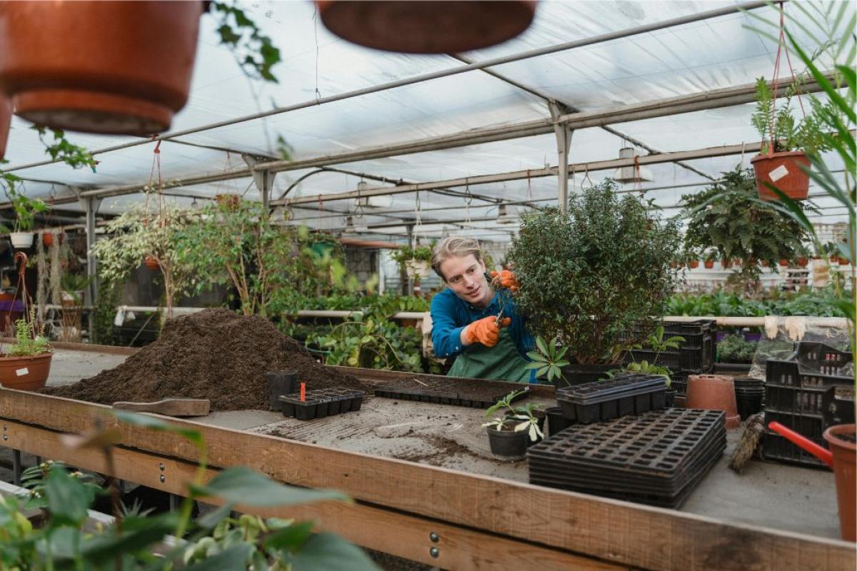 Vivaio - Foto di Tima Miroshnichenko: https://www.pexels.com/it-it/foto/uomo-persona-giardino-agricoltura-6508413/