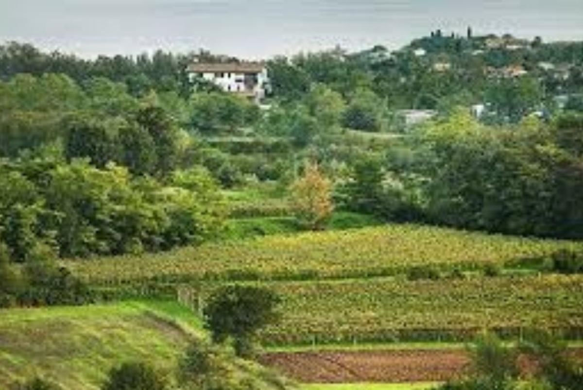 Azienda agricola