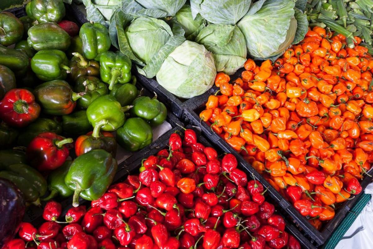 Agricoltura prodotti - Foto di Mark Stebnicki: https://www.pexels.com/it-it/foto/espositori-per-negozio-di-verdure-assortite-2252584/