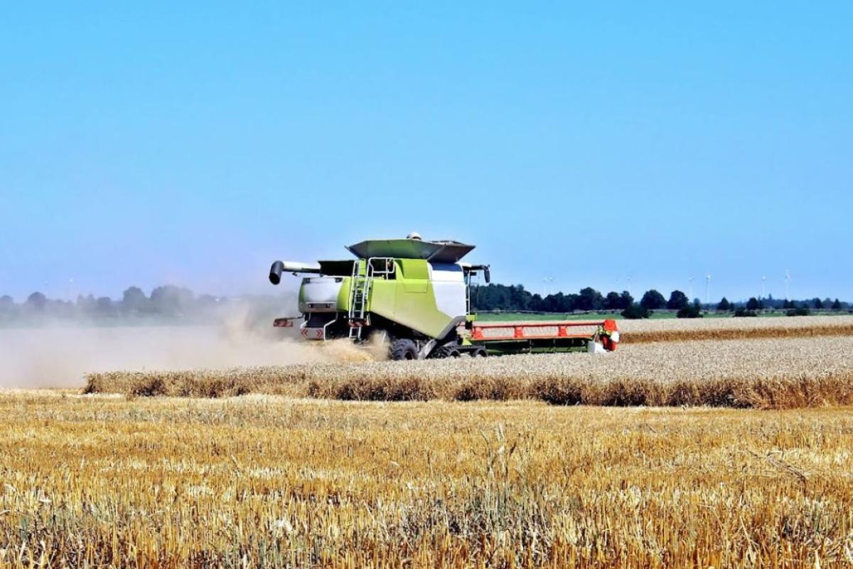 Campo coltivato - Foto di Pixabay: https://www.pexels.com/it-it/foto/camion-di-giardinaggio-verde-163740/