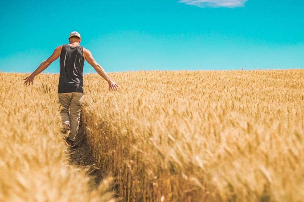 Agricoltore - Foto di <a href="https://pixabay.com/it/users/pexels-2286921/?utm_source=link-attribution&utm_medium=referral&utm_campaign=image&utm_content=1866559">Pexels</a> da <a href="https://pixabay.com/it//?utm_source=link-attribution&utm_medium=referral&utm_campaign=image&utm_content=1866559">Pixabay</a>