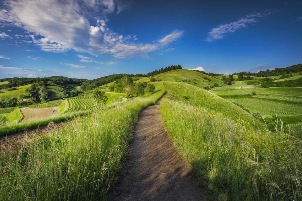 Paesaggio rurale - Foto di <a href="https://pixabay.com/it/users/pexels-2286921/?utm_source=link-attribution&utm_medium=referral&utm_campaign=image&utm_content=1868781">Pexels</a> da <a href="https://pixabay.com/it//?utm_source=link-attribution&utm_medium=referral&utm_campaign=image&utm_content=1868781">Pixabay</a>