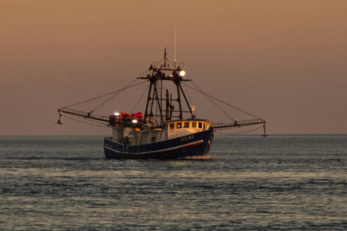 Barca pesca - Foto di John Biondo: https://www.pexels.com/it-it/foto/mare-alba-tramonto-acqua-6823967/