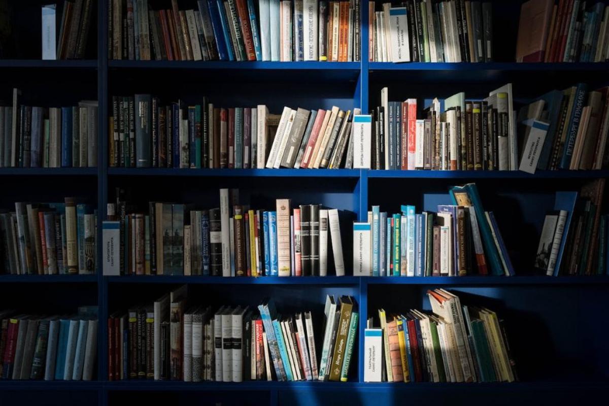 Libreria - Foto di cottonbro studio: https://www.pexels.com/it-it/foto/libri-scuola-biblioteca-universita-6214934/