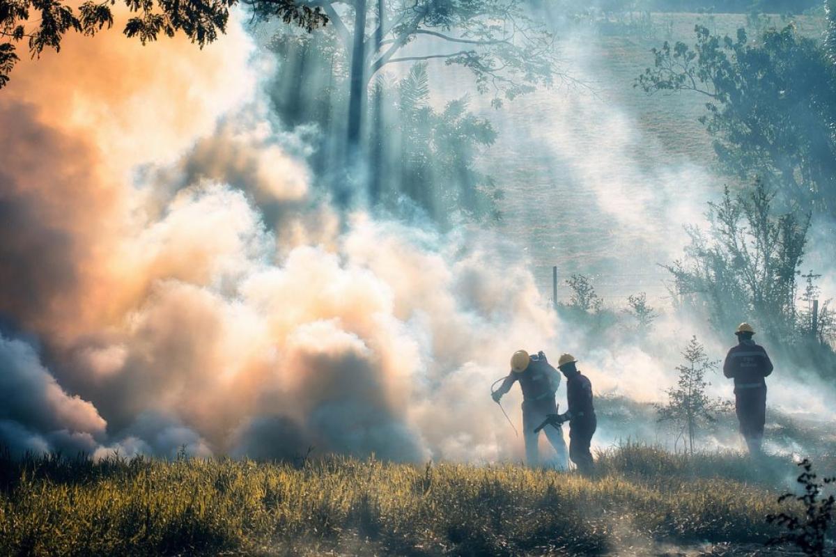 Bosco incendio - Foto di <a href="https://pixabay.com/it/users/ronaldplett-5139674/?utm_source=link-attribution&utm_medium=referral&utm_campaign=image&utm_content=7692825">Ronald Plett</a> da <a href="https://pixabay.com/it//?utm_source=link-attribution&utm_medium=referral&utm_campaign=image&utm_content=7692825">Pixabay</a>