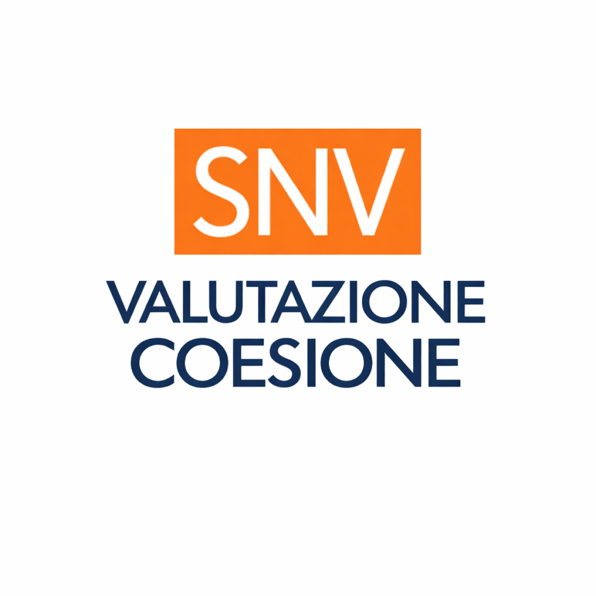 snv - valutazione coesione