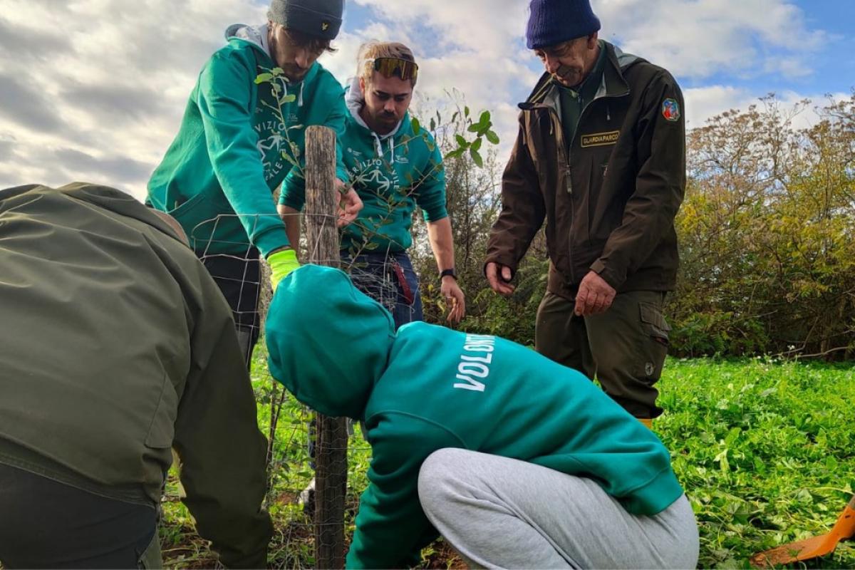 servizio civile universale