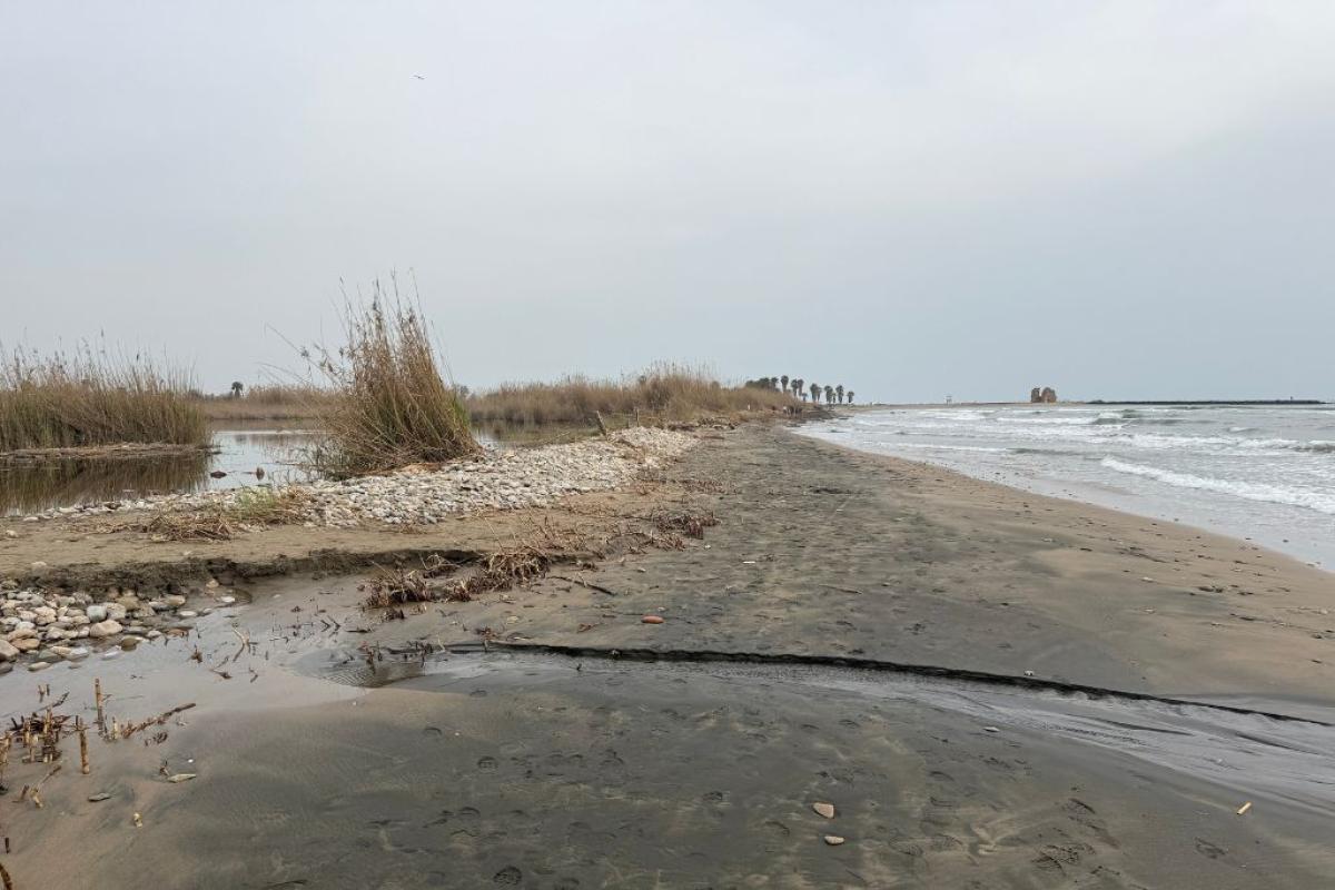 Torre Flavia erosione