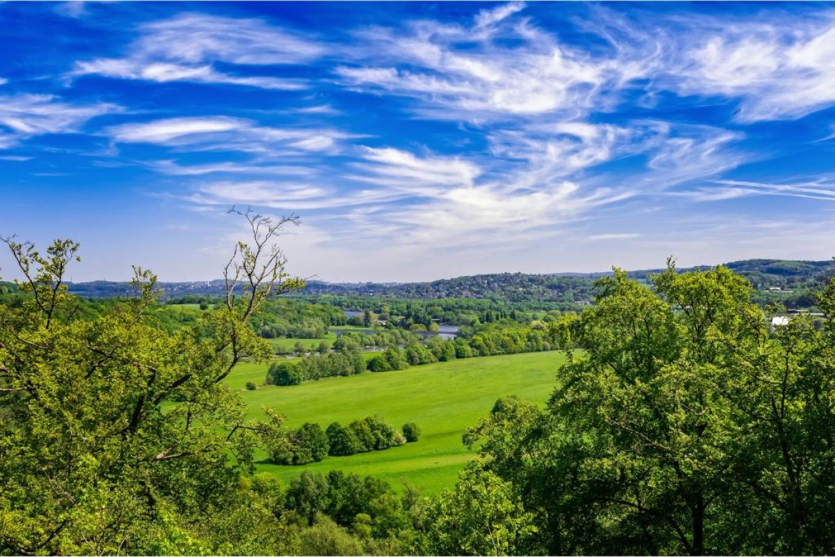 Paesaggio agreste - Foto di <a href="https://pixabay.com/it/users/tama66-1032521/?utm_source=link-attribution&utm_medium=referral&utm_campaign=image&utm_content=3379250">Peter H</a> da <a href="https://pixabay.com/it//?utm_source=link-attribution&utm_medium=referral&utm_campaign=image&utm_content=3379250">Pixabay</a>