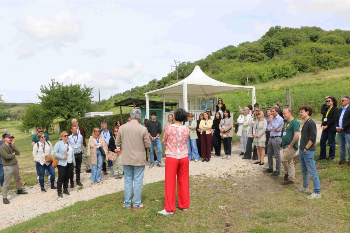 Thematic Group on Farm Diversification
